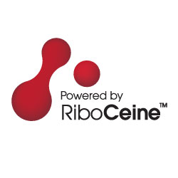 Riboceine