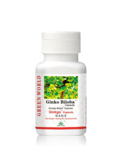 Green World Ginkgo Biloba Capsules pack - Brain and cardiovascular health supplement with natural Ginkgo biloba extract.