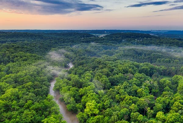 serene nature scene